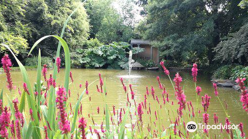 Ballymaloe Gardens