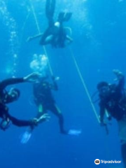 Temple Adventures - Scuba Diving Experience Center