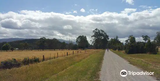 Lilydale to Warburton Rail Trail