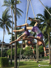 Mid-Air Circus Arts - Flying Trapeze & Aerial Arts Academy