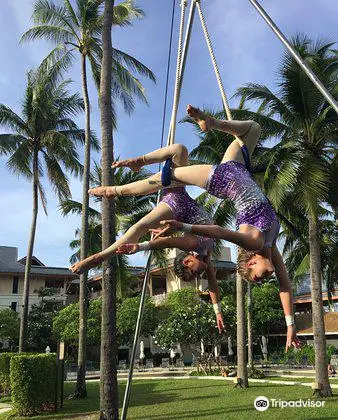 Mid-Air Circus Arts - Flying Trapeze & Aerial Arts Academy