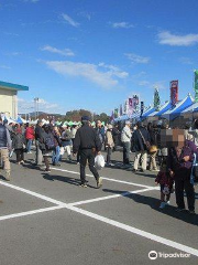 Hitachi Autumn Soba Festival Satoyama Fair