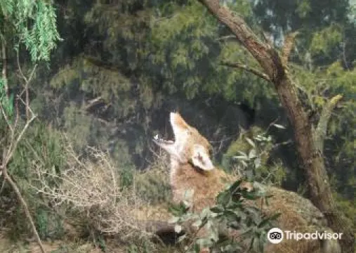 John E. Conner Museum