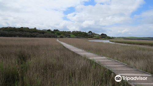 Princetown Wetlands Boardwalk