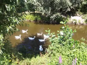 Kinderboerderij 't Weusthag