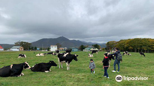 Watanabe Experience Farm