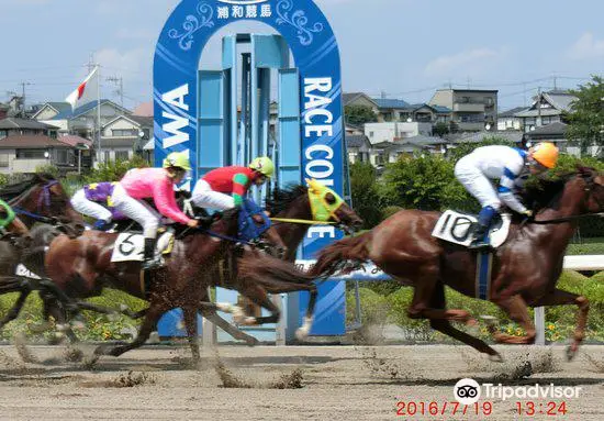 浦和競馬場