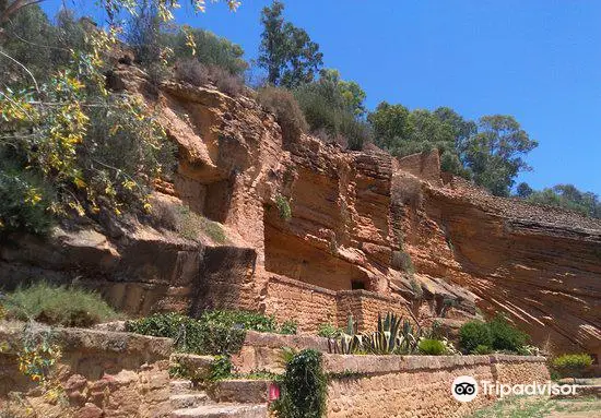 Giardino Botanico