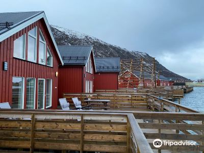 Lofoten Basecamp