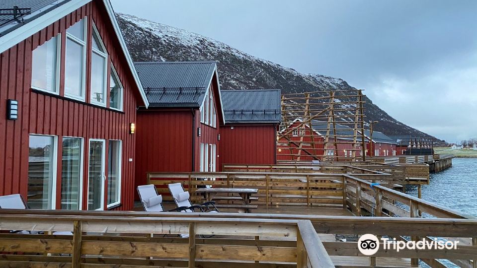 Lofoten Basecamp