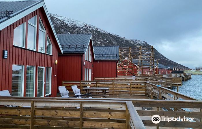 Lofoten Basecamp