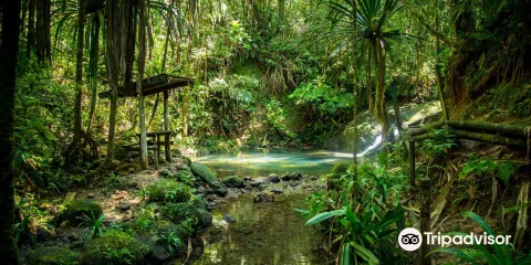 蘇瓦內陸森林公園