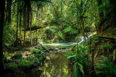 蘇瓦內陸森林公園