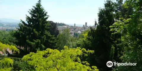 洛倫佐•羅塔植物園