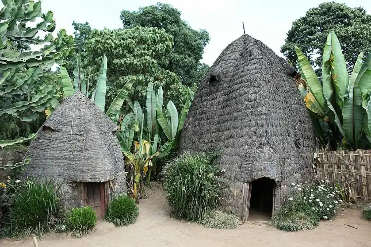 Hotel dekat Dorze Tribe