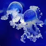 Hotels near Rainforest Aquarium