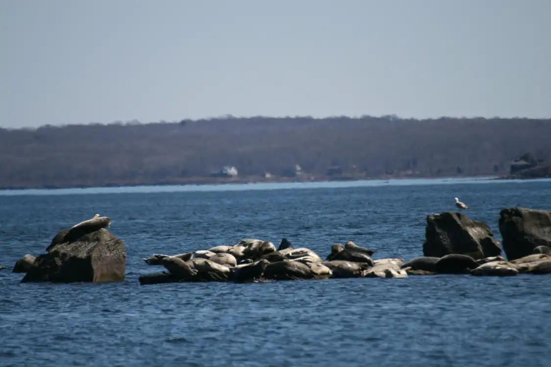 Hotels in der Nähe von John H. Chafee Rome Point Preserve