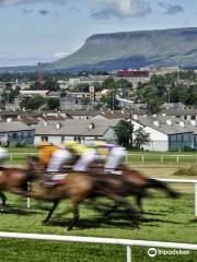 Sligo Races