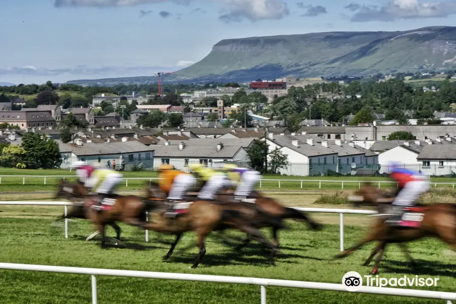 Sligo Races