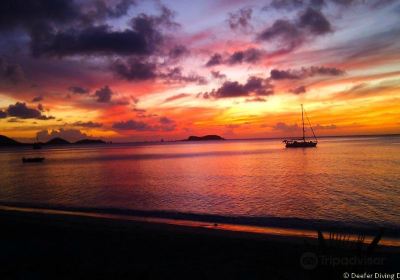 Deefer Diving Carriacou