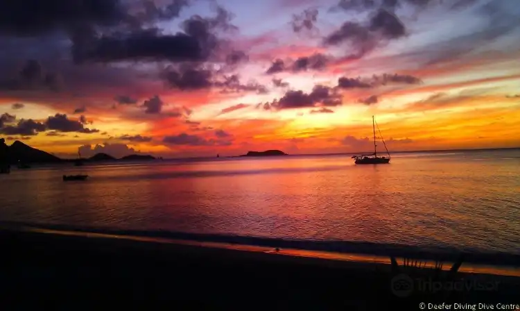 Hotels near Deefer Diving Carriacou