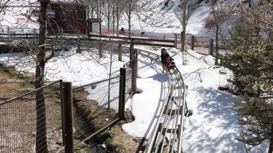 Parque de Actividades Mirlo Blanco