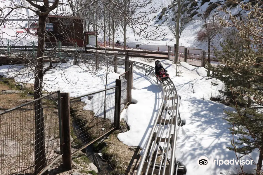 Parque de Actividades Mirlo Blanco