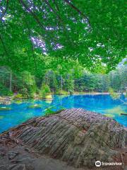 Naturpark Blausee