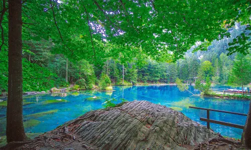 Naturpark Blausee