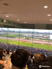 Nakayama Racecourse