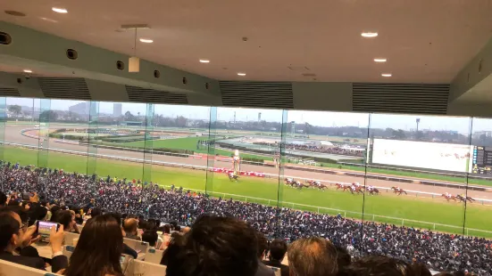 Nakayama Racecourse