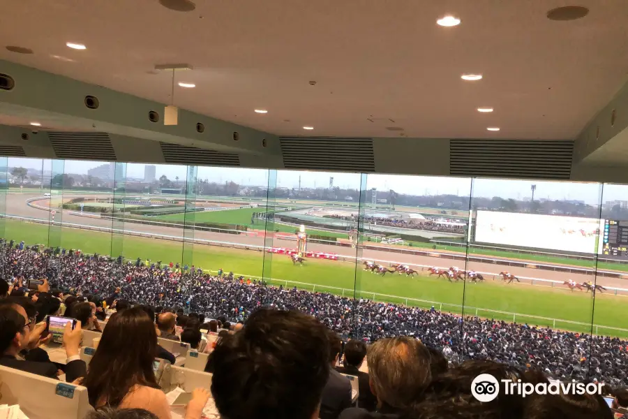 Nakayama Racecourse