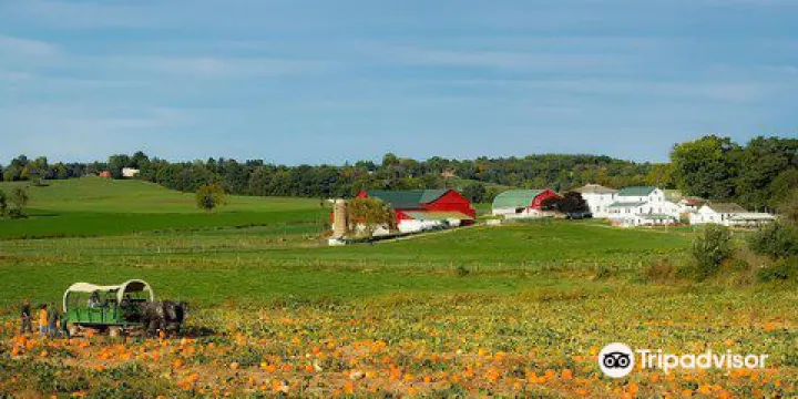 Ressler Mill Foundation