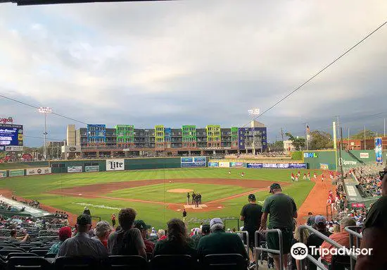 Cooley Law School Stadium