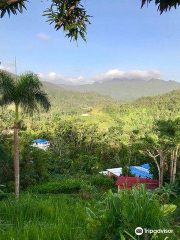 Luquillo Mountain Range