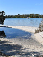 Koala Reserve (Mangrove Boardwalk)