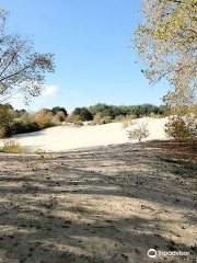 Nature Reserve of Westhoek