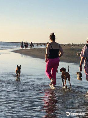 Het Strand van IJmuiden aan Zee