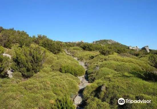 A Piedi Nel Parco