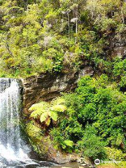 Mokoroa Falls