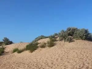 Vityazevo Beach