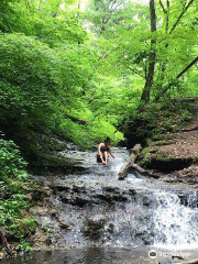 Parfrey's Glen