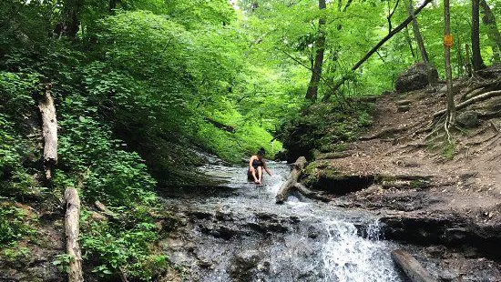 Parfrey's Glen