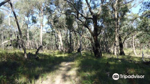 Holey plains state park