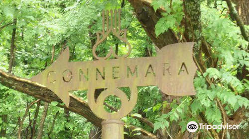 Connemara Conservancy