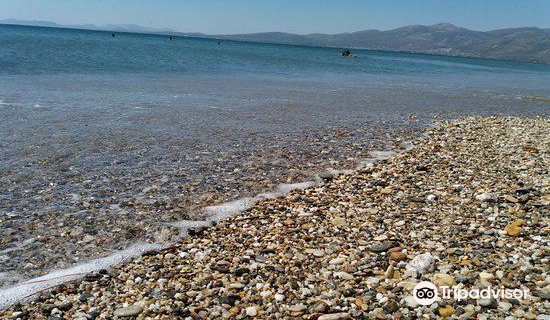 Parco nazionale di Schinias Maratona