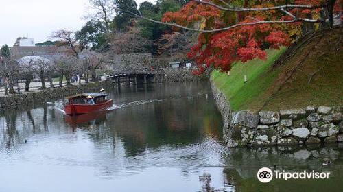 金亀公園