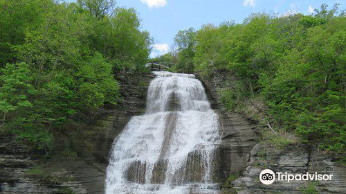 Shequaga Falls