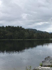 The Goldfish Lake