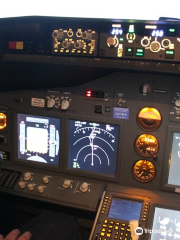 ViennaFlight Flightsimulation & Flighttraining OG